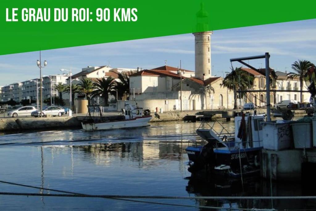Le Loft Des Papes - 2 Terrasses - Vue Panoramique Sur La Ville - Ac Clim أفينيون المظهر الخارجي الصورة